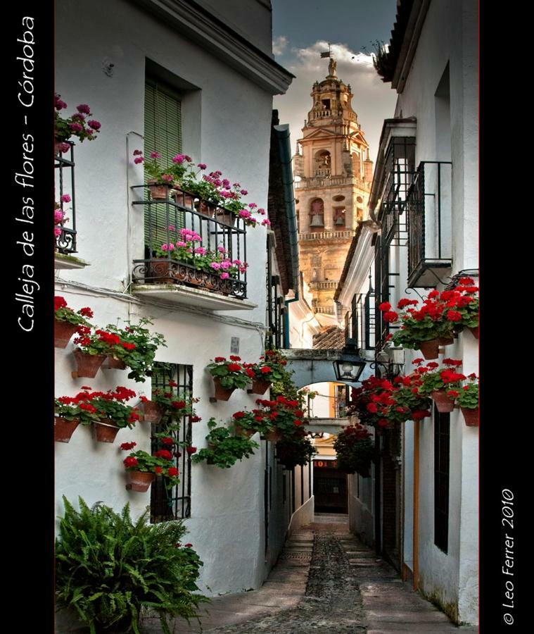 Luxury Viana Apartments Córdoba Buitenkant foto